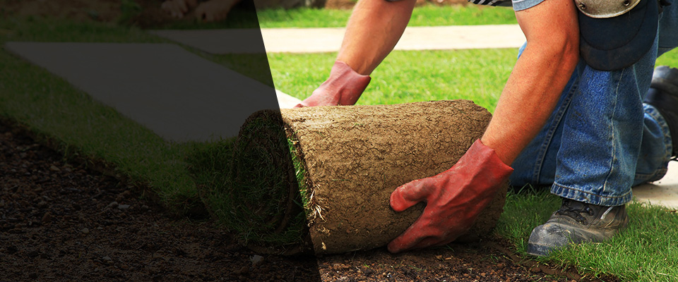 Fallston Landscapers